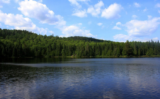 A Typical Scene In Quetico