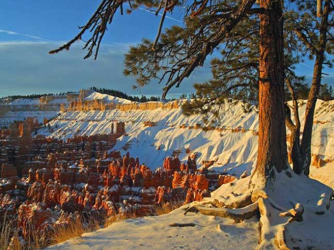 Bryce Canyon Winter Hiking